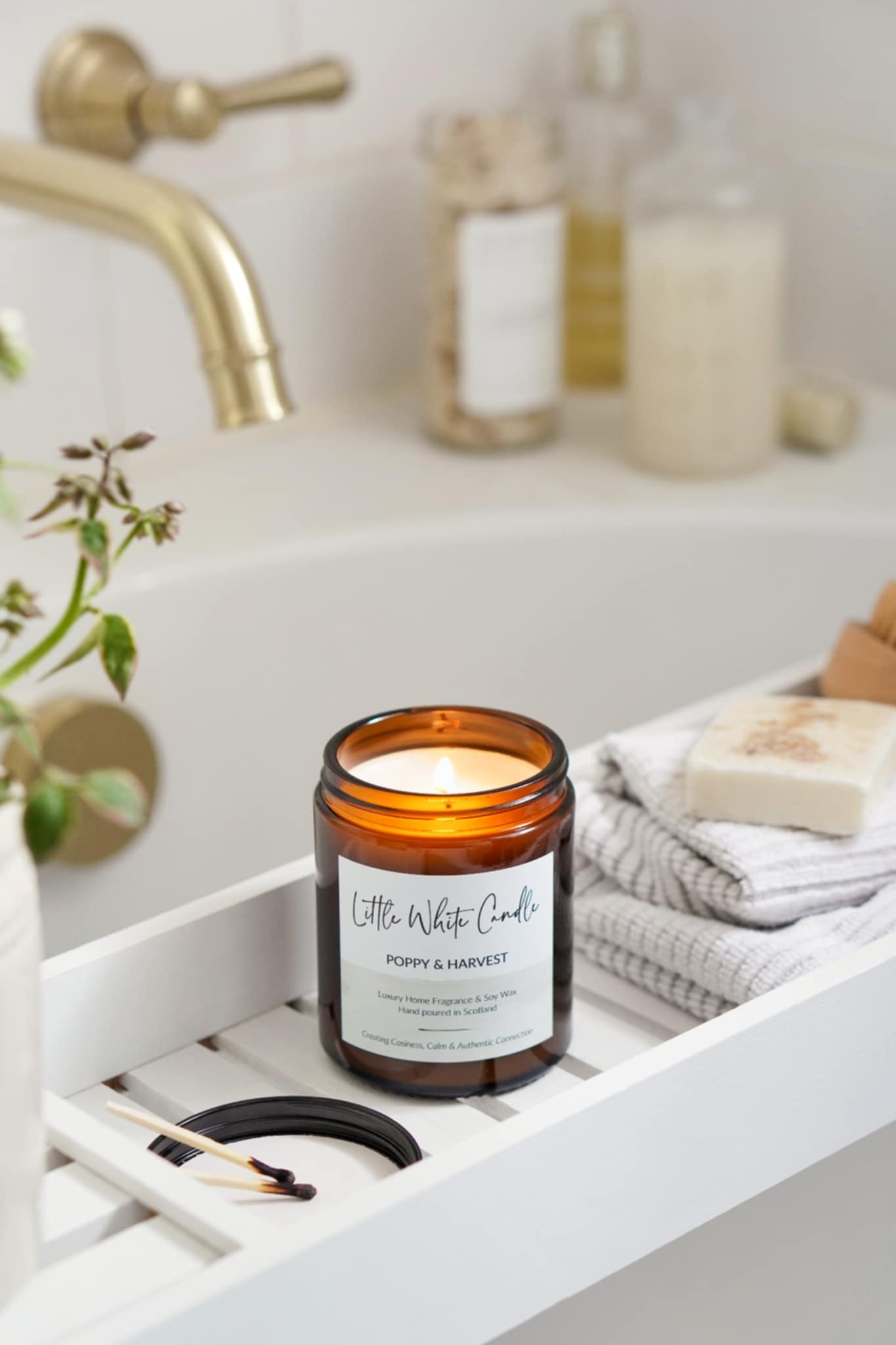 Apothecary Candle Collection